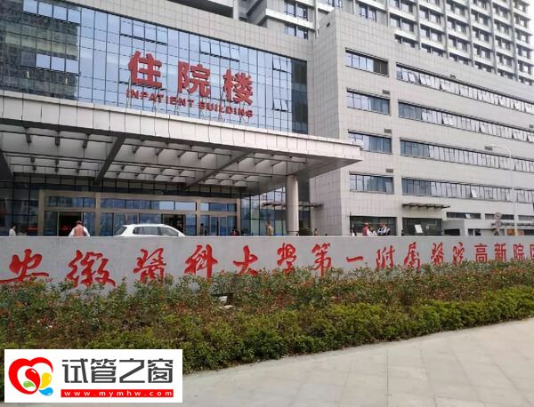 合肥三代試管嬰兒助孕花費速覽,具體幾萬給你算清楚!(圖1) 合肥三代試管成功率多少