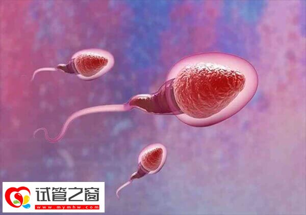 呼和浩特人工授精醫院排名是怎樣(圖1) 呼和浩特有3家醫院可以做人授