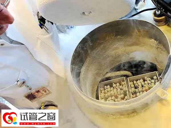 凍卵后每年都要收保存費用