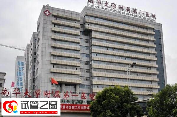 南華附一院試管嬰兒流程有哪些(圖1) 取卵取精是南華附一院試管嬰兒流程之一