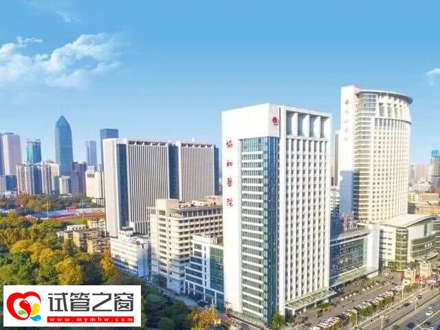 武漢三代試管嬰兒醫院速覽,還有花費別漏看!(圖1) 武漢三代試管成功率多少