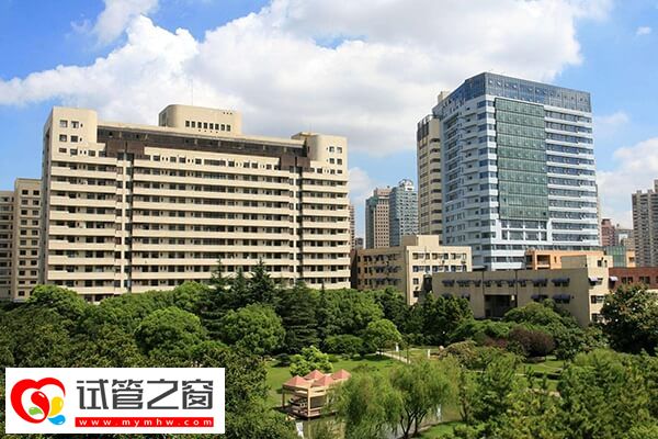 上海六院試管成功率多少