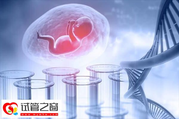 長治做三代試管有哪些流程(圖1) 體外授精是三代試管嬰兒的流程之一