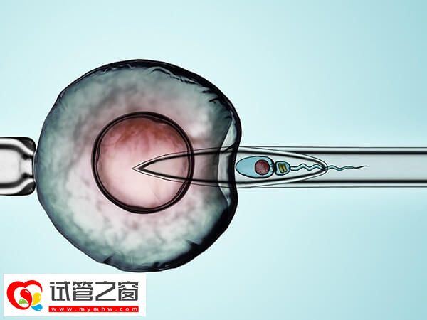 連云港三院湯麗莎試管技術如何(圖1) 連云港三院湯麗莎醫生試管技術好