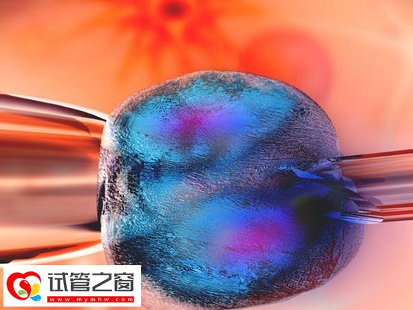 石家莊市婦產醫院做三代試管嬰兒步驟是什么(圖1) 促排卵是三代試管嬰兒的流程之一