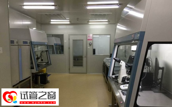 試管嬰兒三代篩查過程是怎樣的(圖2) PGD篩查包含極體活檢