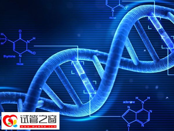 三代試管pgs篩查是什么意思(圖3) 三代試管可以檢測胚胎染色體結構和數目