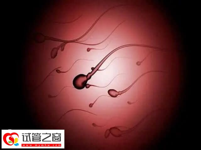 精子質量好試管成功率會更高