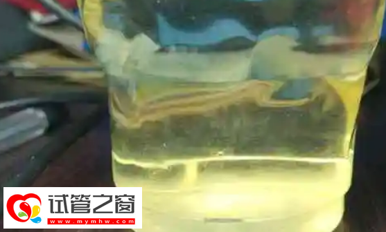 懷孕7周看男女小技巧,從胎心率和肚子形狀就能知道(圖3) 酒精測試法來判斷胎兒男女是一種不可取的