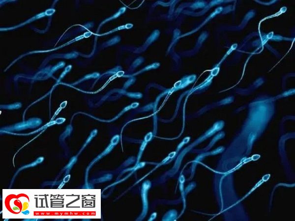 精子質量影響男性能力