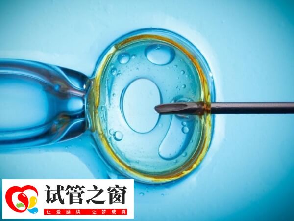 做試管嬰兒多久能懷上(圖1) 做試管嬰兒一個周期需要2到3個月