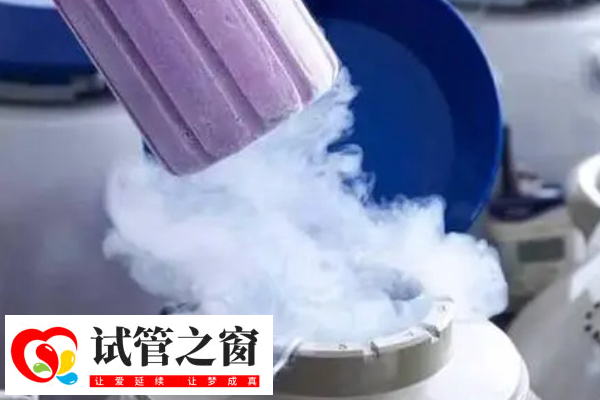 女性的年齡會影響凍卵試管成功率