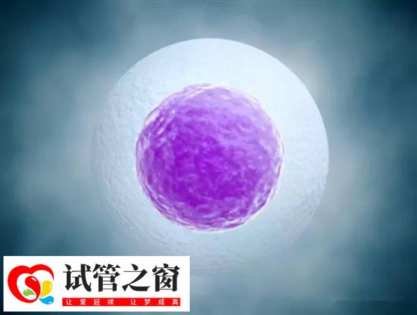 女性的生育能力會隨著年齡的增長而逐漸減弱