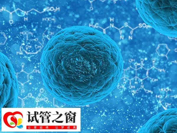 受精卵的血型和供卵者不同要做檢查