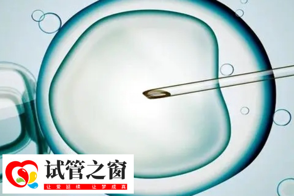 單身試管嬰兒費(fèi)用大概要多少錢(圖2) 國內(nèi)不允許單身人士做試管嬰兒