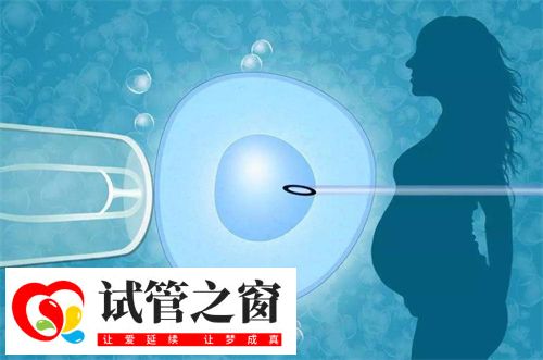 2次試管嬰兒成功案例分析！試管助孕前做好哪些事能避免2次移植(圖1)