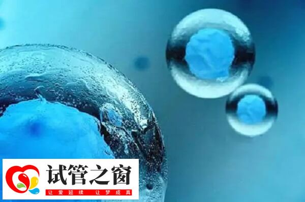 試管移植前要注意合理飲食