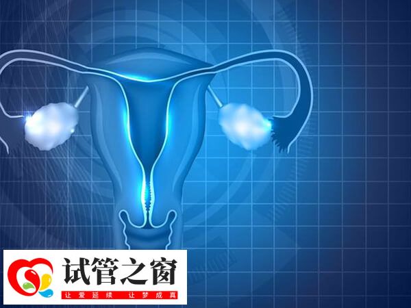 做試管可能會引起卵巢早衰