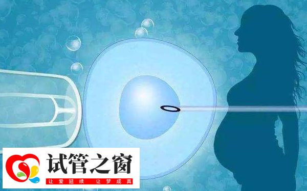 新醫三附院試管嬰兒成功經驗(圖1) 新醫三附院試管成功率不低