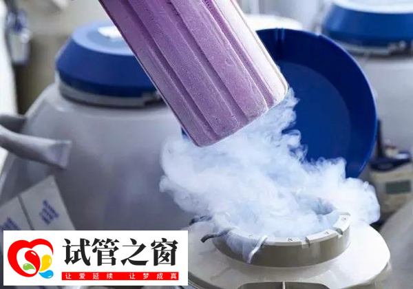 羅湖區醫院凍胚的管多少個以上免費(圖3) 胚胎冷凍按管數收費