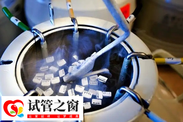 羅湖區醫院凍胚的管多少個以上免費(圖2) 試管胚胎解凍要付費