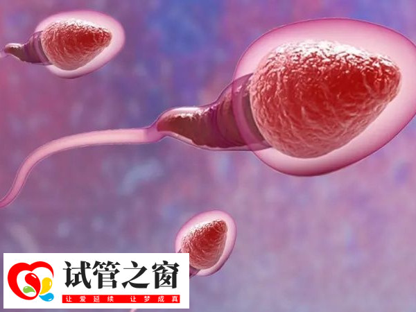 3-5月份和8-9月做試管成功率高