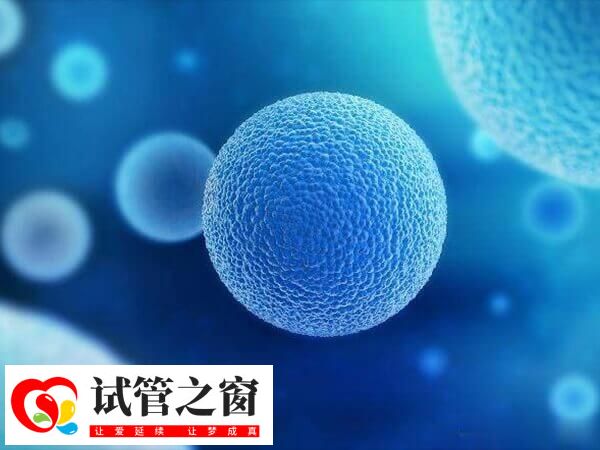 超長方案卵泡少是好事還是壞事(圖1) 超長方案會先降調