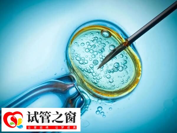 試管拮抗劑方案有什么壞處(圖2) 拮抗劑方案容易出現黃體功能不足