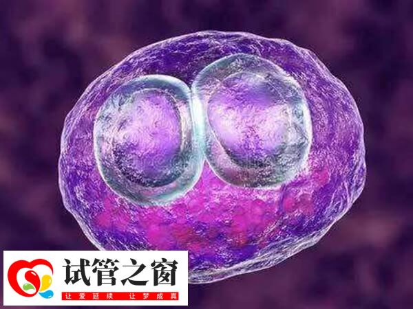 移植前怎么做有利于胚胎著床(圖1) 胚胎移植后要注意個人衛(wèi)生