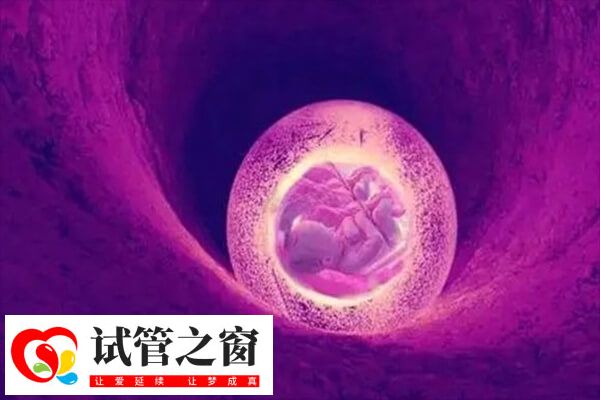 子宮肌瘤對試管嬰兒的影響有哪些(圖1) 試管嬰兒需要回到子宮內孕育