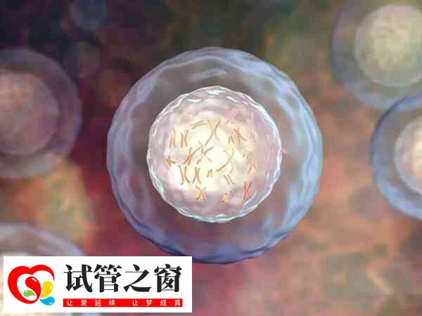 試管移植后宮縮可能是著床了