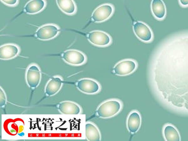 試管嬰兒精子的活力分為幾個等級(圖2) 避免不良習慣可以提高精子活力
