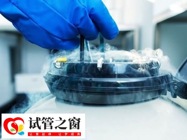 移植凍胚為什么還要進周(圖1) 移植凍胚前要先準備內膜