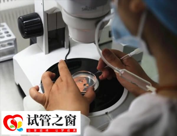 胚胎質(zhì)量一般也可以選擇重新促排