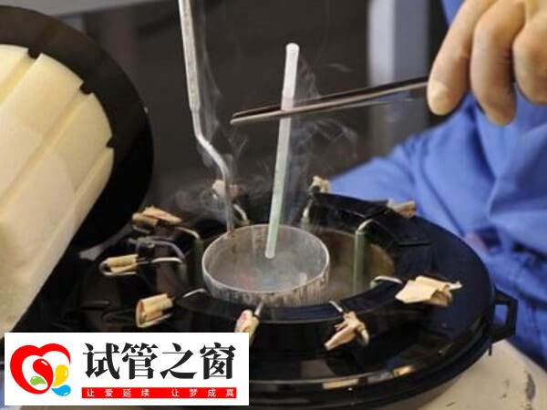 試管成功率并非百分百