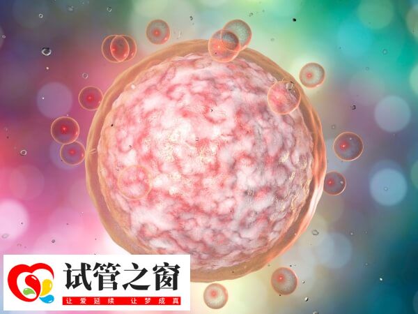 試管一次成功的幾率約40%