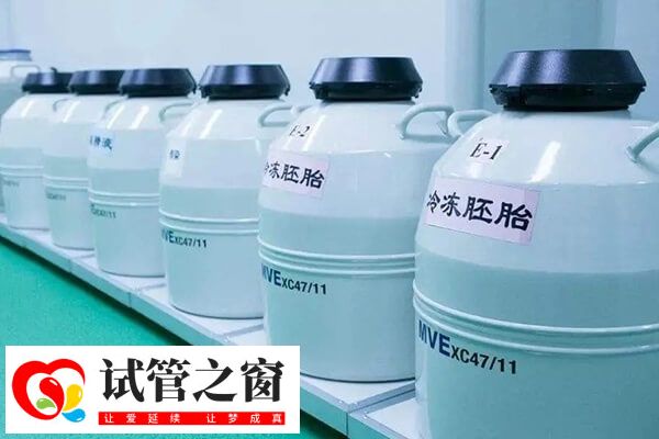 胚胎冷凍的收費標準因地區和醫院而異