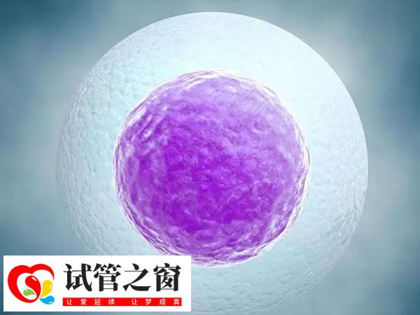 試管fet移植是移植凍胚