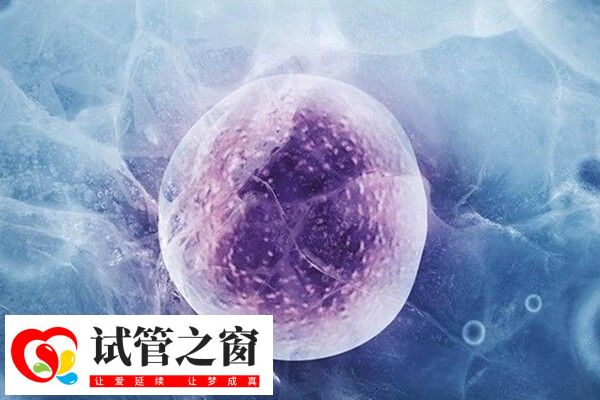 做試管嬰兒去醫(yī)院次數(shù)并不頻繁