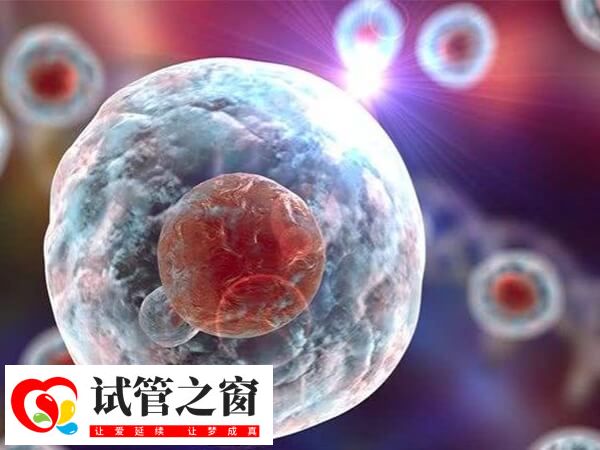 胚胎的發育潛力和質量會影響著床成功率