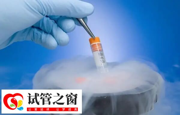 女人25歲冷凍卵子最好