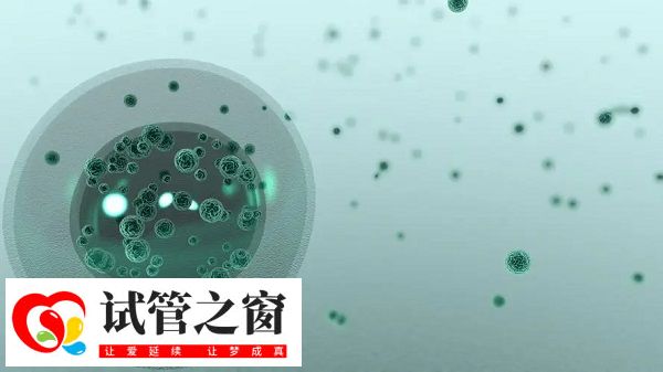 二代試管有胚胎缺陷風險