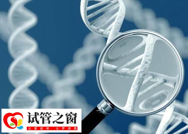 為什么俄羅斯三代試管成功率高(圖1) 俄羅斯試管嬰兒成功率高達75%