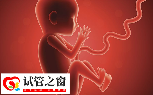 檢查二超顯示胎兒發(fā)育正常可以畢業(yè)