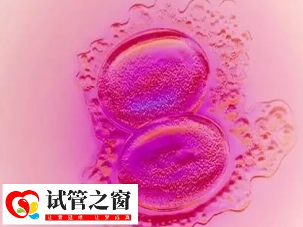 囊胚4bb質(zhì)量比較好
