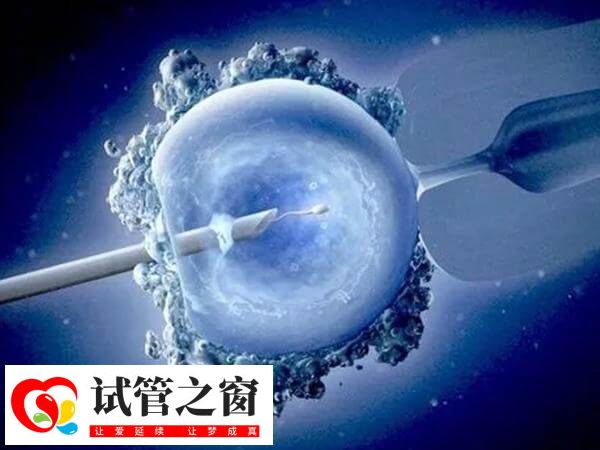 移植胚胎著床后拉肚子怎么回事(圖1) 胚胎移植后拉肚子可能是藥物作用