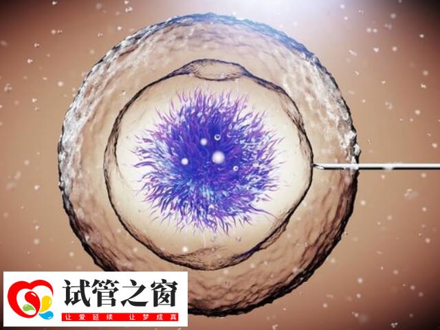 胚胎4ac和4bb哪個(gè)好點(diǎn)(圖2) 移植胚胎4ac的成功率約40%