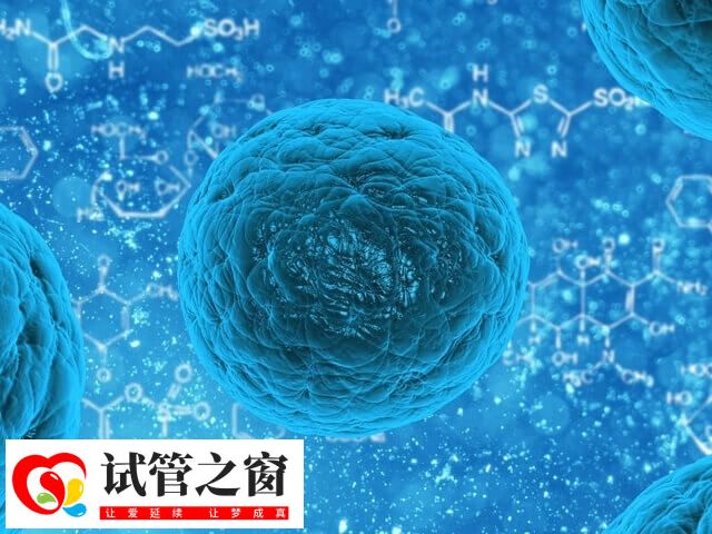 胚胎4ac和4bb哪個(gè)好點(diǎn)(圖1) 4AC胚胎滋養(yǎng)層細(xì)胞數(shù)量稀少