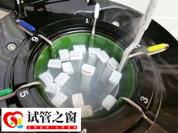 凍胚解凍復蘇率約90%