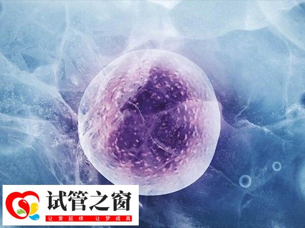 凍胚移植成功率約40%-50%不等